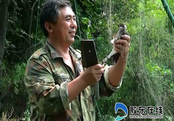 護鳥清網(wǎng)專項整治行動