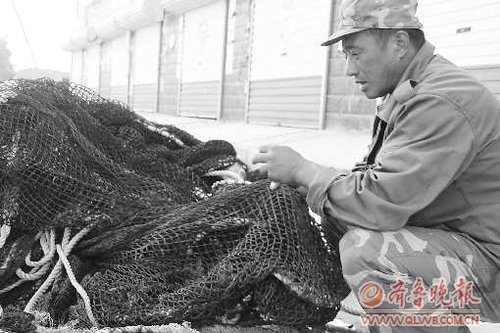 山東長島大欽島魚死率猛增 疑為溢油惹禍(圖)