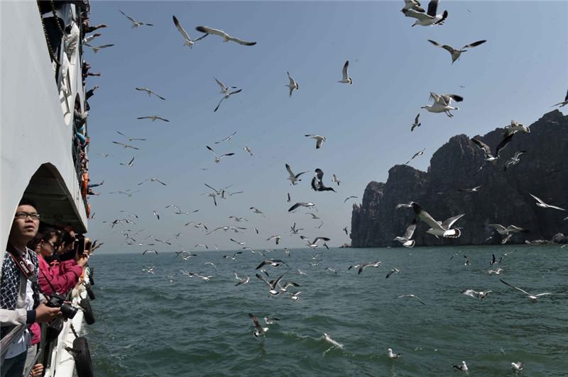 4月29日，游客在長島縣萬鳥島乘游船觀賞海鷗。