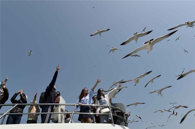 4月29日，游客在長島縣萬鳥島乘游船觀賞海鷗。