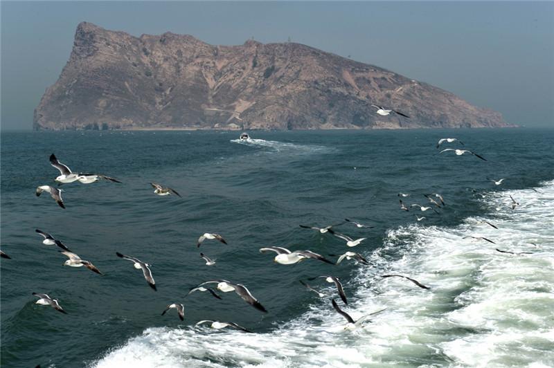4月29日，游船駛過鷗鳥翔集的長島縣萬鳥島。