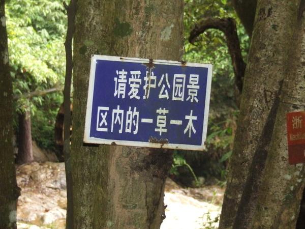 三明仙人谷國家森林公園圖片23