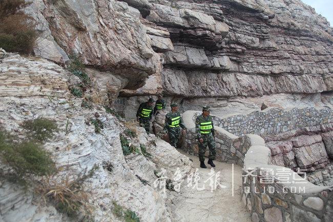 煙臺這座海島上蝮蛇成群，民警每天巡邏30公里