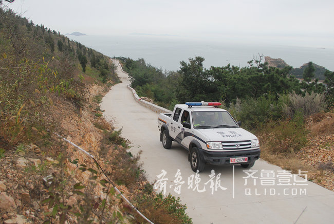 煙臺這座海島上蝮蛇成群，民警每天巡邏30公里