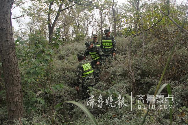 煙臺這座海島上蝮蛇成群，民警每天巡邏30公里