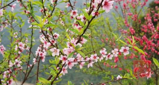 廈門長(zhǎng)春谷愜意一日游