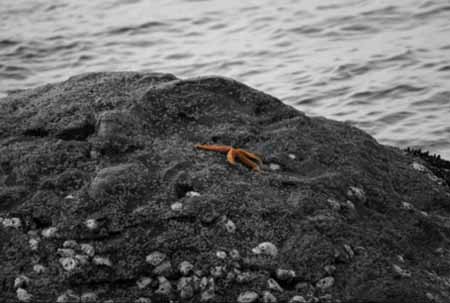 拍攝海之風趣數(shù)碼單反相機砣磯島之行