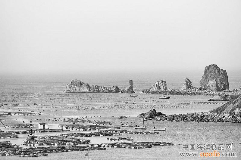 南城隍箱海產(chǎn)養(yǎng)殖場(chǎng)地