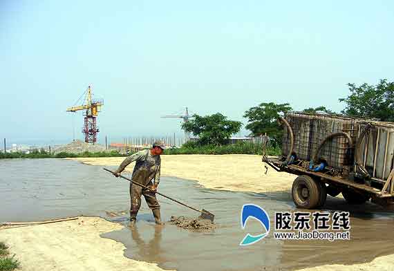 煙臺(tái)長(zhǎng)島興起“參糧”加工業(yè)