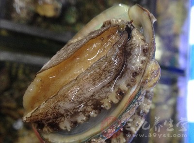 不新鮮海產(chǎn)品，避免食物中毒