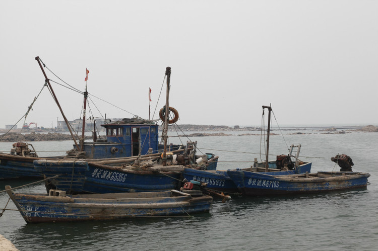 煙臺(tái) 蓬萊 長(zhǎng)島游 (一） - 山茱萸 - 我的博客