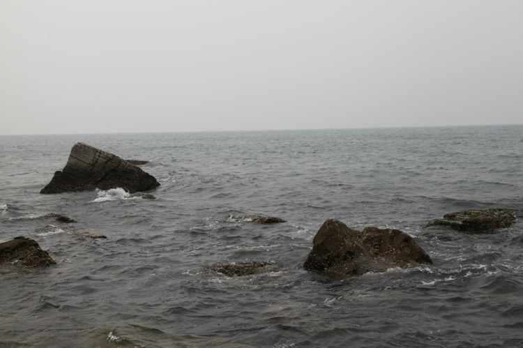 煙臺(tái) 蓬萊 長(zhǎng)島游 (一） - 山茱萸 - 我的博客