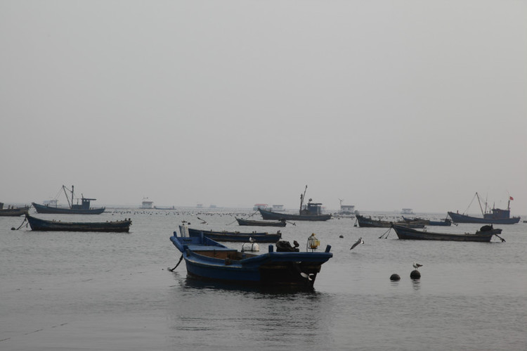 煙臺(tái) 蓬萊 長(zhǎng)島游 (一） - 山茱萸 - 我的博客