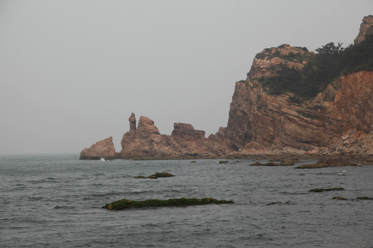 煙臺(tái) 蓬萊 長(zhǎng)島游 (一） - 山茱萸 - 我的博客