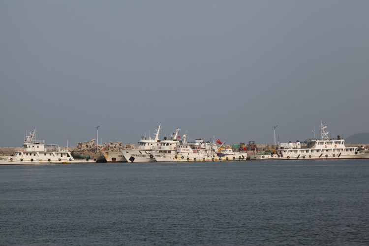 煙臺(tái) 蓬萊 長(zhǎng)島游 (一） - 山茱萸 - 我的博客