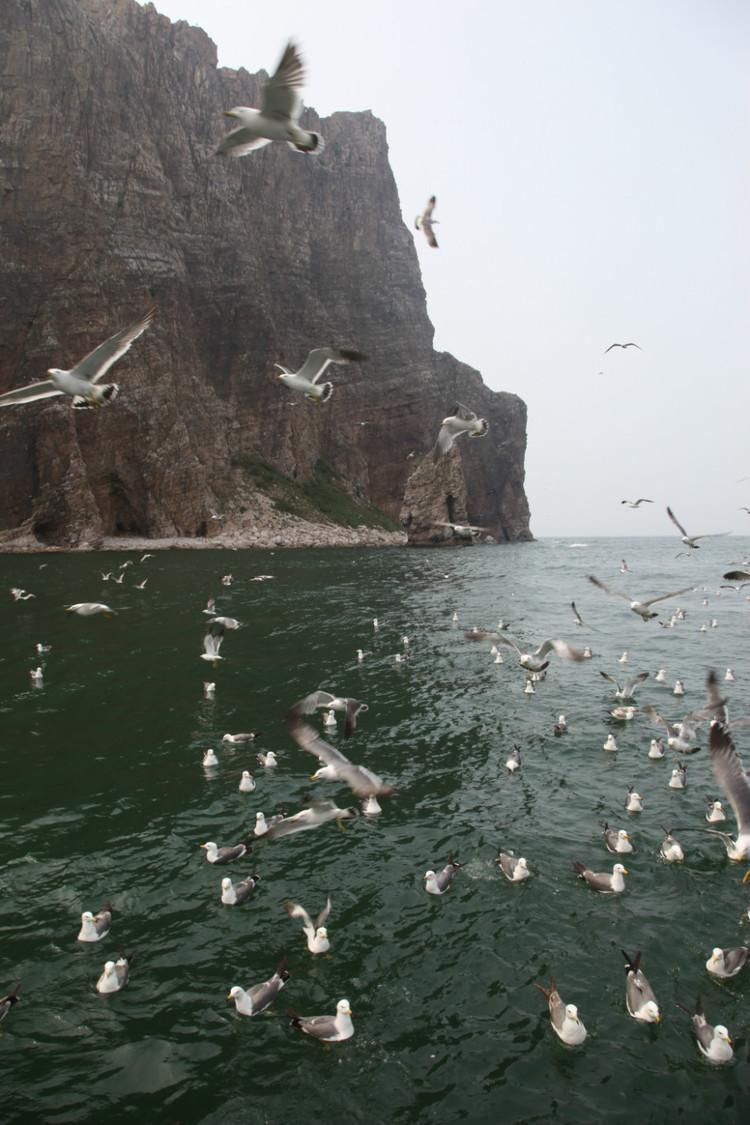 煙臺(tái) 蓬萊 長(zhǎng)島游 (一） - 山茱萸 - 我的博客