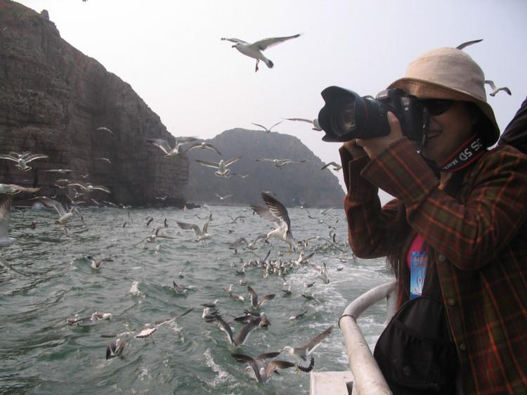 煙臺(tái) 蓬萊 長(zhǎng)島游 (一） - 山茱萸 - 我的博客