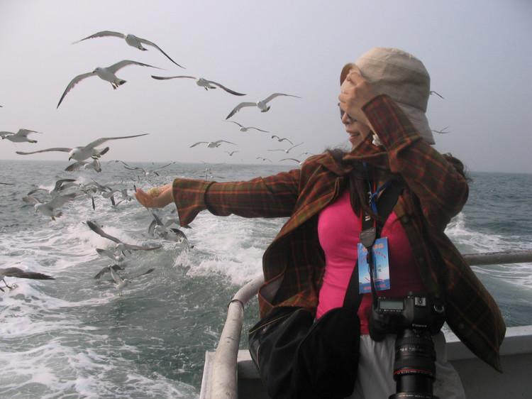 煙臺(tái) 蓬萊 長(zhǎng)島游 (一） - 山茱萸 - 我的博客