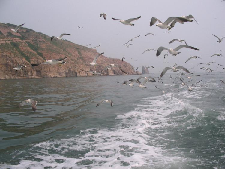 煙臺(tái) 蓬萊 長(zhǎng)島游 (一） - 山茱萸 - 我的博客