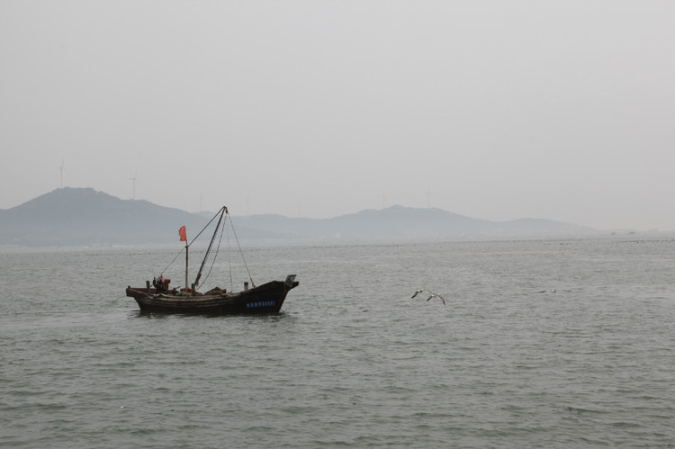 煙臺(tái) 蓬萊 長(zhǎng)島游 (一） - 山茱萸 - 我的博客