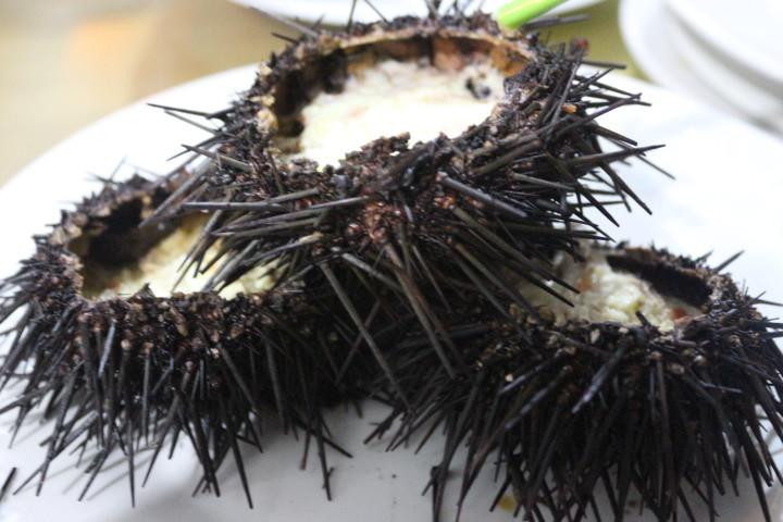 無(wú)與倫比的美味：長(zhǎng)島國(guó)際度假區(qū)的海鮮盛宴 - 西園的貓 - 風(fēng)從海面吹過(guò)來(lái)