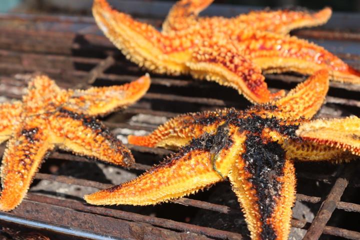 無(wú)與倫比的美味：長(zhǎng)島國(guó)際度假區(qū)的海鮮盛宴 - 西園的貓 - 風(fēng)從海面吹過(guò)來(lái)