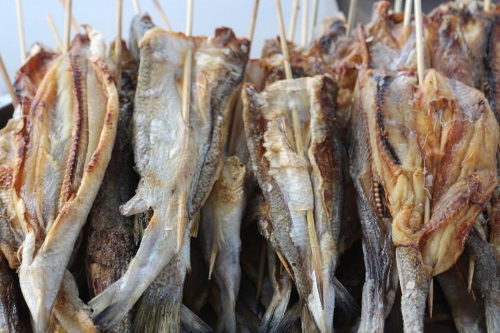 無(wú)與倫比的美味：長(zhǎng)島國(guó)際度假區(qū)的海鮮盛宴 - 西園的貓 - 風(fēng)從海面吹過(guò)來(lái)