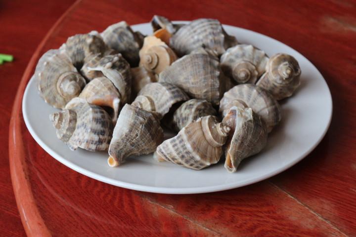 無(wú)與倫比的美味：長(zhǎng)島國(guó)際度假區(qū)的海鮮盛宴 - 西園的貓 - 風(fēng)從海面吹過(guò)來(lái)