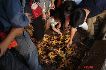 在長島體驗(yàn)漁民海上生活 - 長島人 - 長島我的家鄉(xiāng)