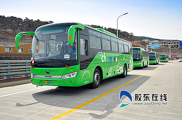 11731756987038743856qn1d802u291dghfyxn0_副本