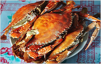 長(zhǎng)島阿曼佳沃