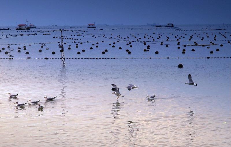 長(zhǎng)島旅游