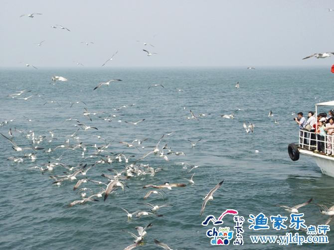 長(zhǎng)島風(fēng)景