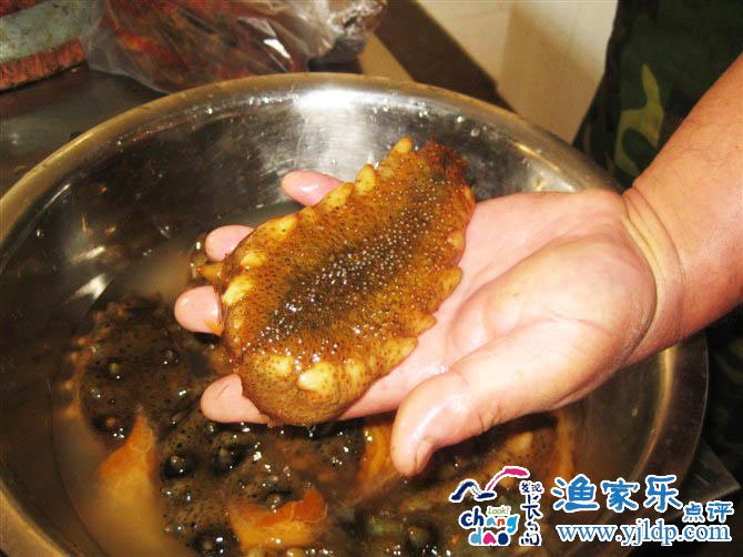 長(zhǎng)島海豐漁家