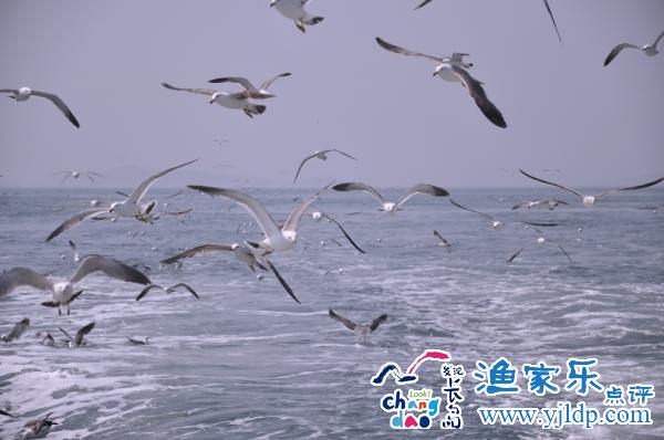 長(zhǎng)島風(fēng)景