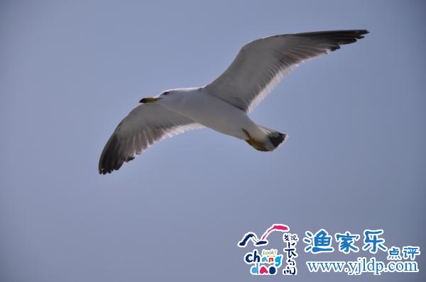 長(zhǎng)島風(fēng)景