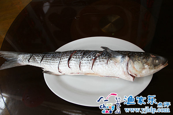 釣魚(yú)島漁家樂(lè)