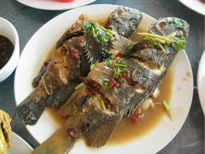 長(zhǎng)島戰(zhàn)友漁家