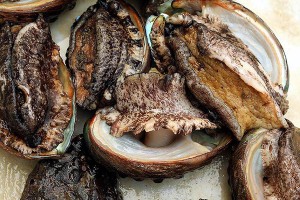 長島晨馨漁家樂