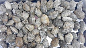 QQ圖片20150709181727