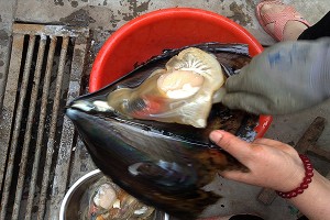 長(zhǎng)島海鮮