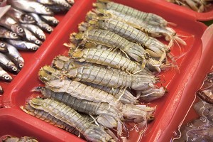 長(zhǎng)島海鮮