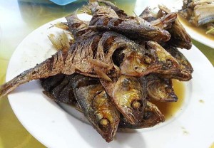 長(zhǎng)島曉龍漁家樂