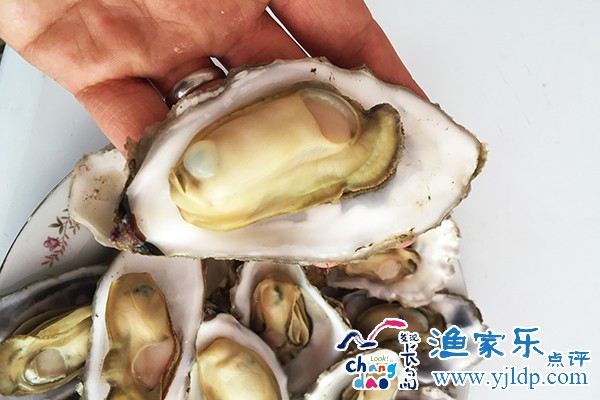 微信圖片_20170424161309