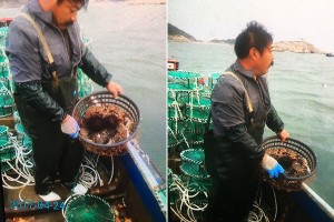 長島老刁漁家樂