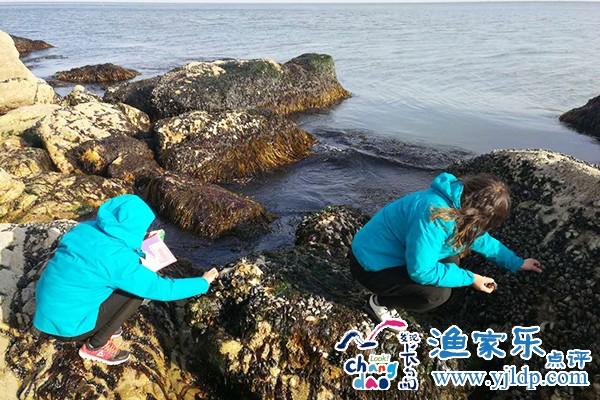 微信圖片_20170512142537