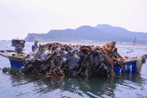 長島南隍城 大帥漁家樂