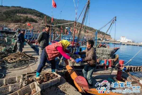 長島文帥漁家樂