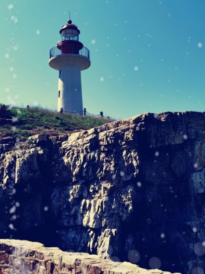 長島海之女漁家樂